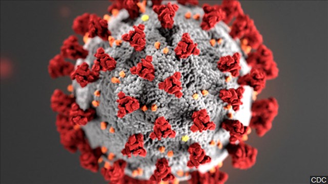 COVID-19 Coronavirus